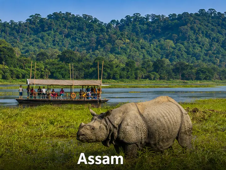 Manas National Park representing Bodoland Legal Rental Agreements